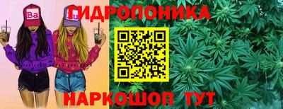 мдпв Аргун