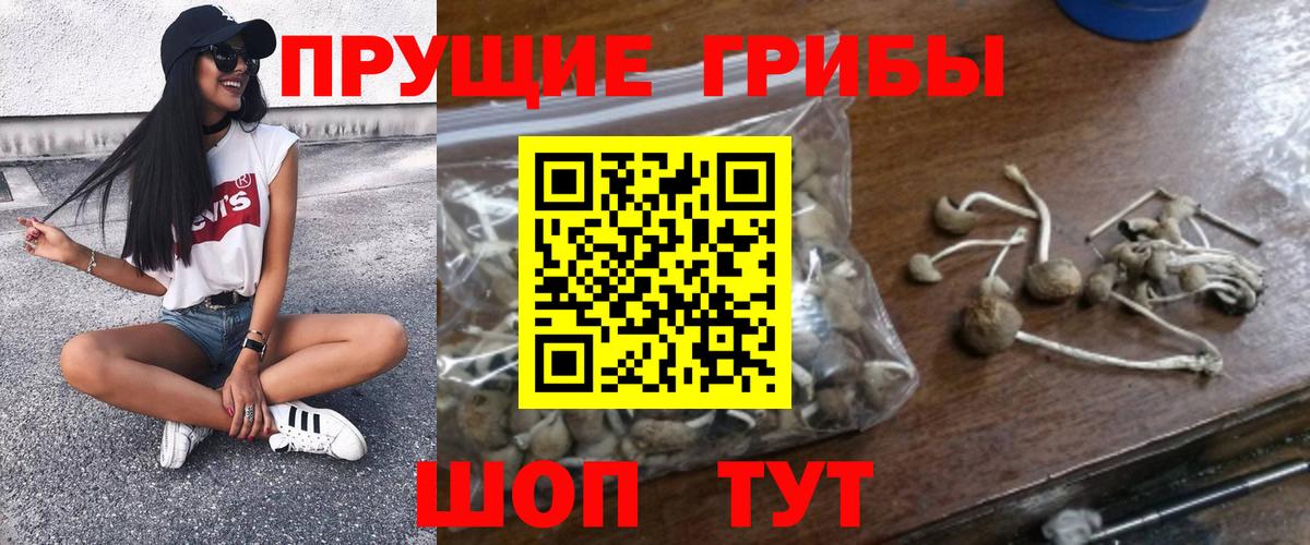 Псилоцибиновые грибы мухоморы  Псилоцибиновые грибы Magic Shrooms  Верхняя Салда  Вход с VPN 